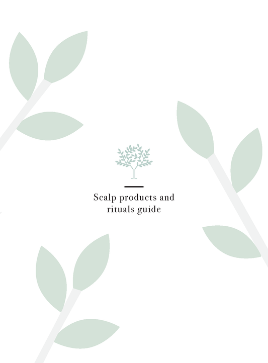 Alter Ego Italy — Master Care Collection - Scalp products and rituals