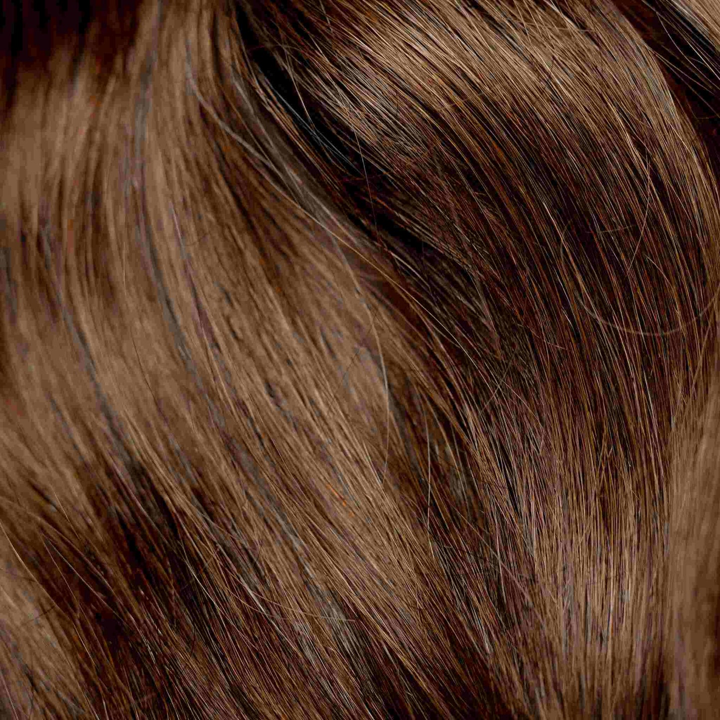 I-Tip 16" 25g Single Donor Virgin - #4 Roasted Walnut (aka Chocolate Brown)